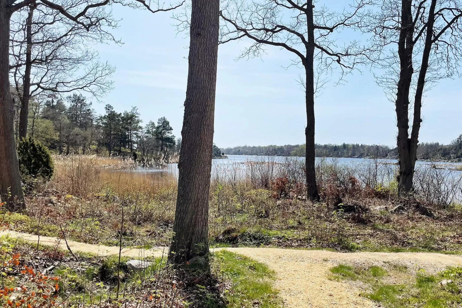 5 sterren vakantie huis in Ronneby-Buitenlucht