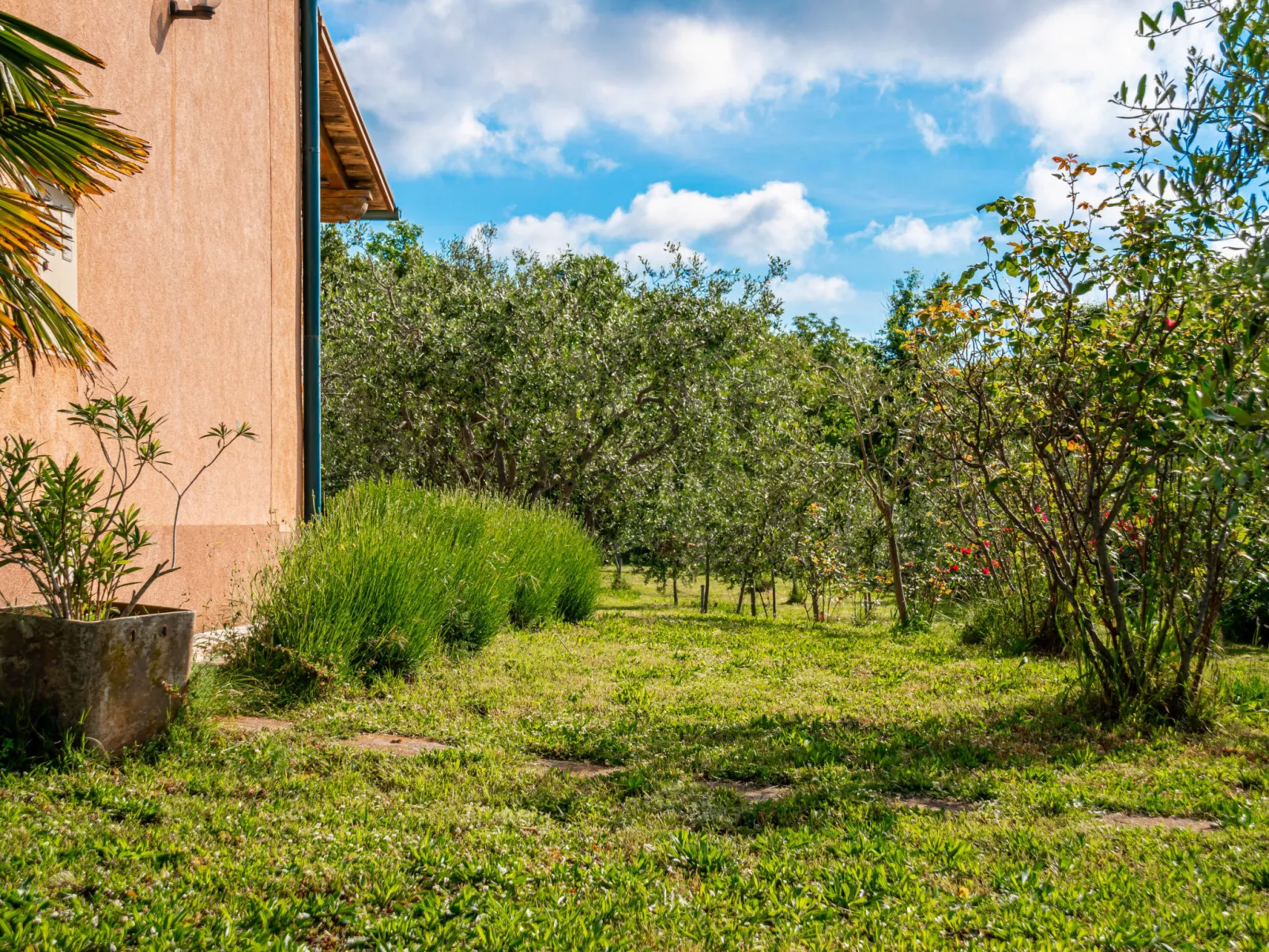 Little Tuscany-Buiten