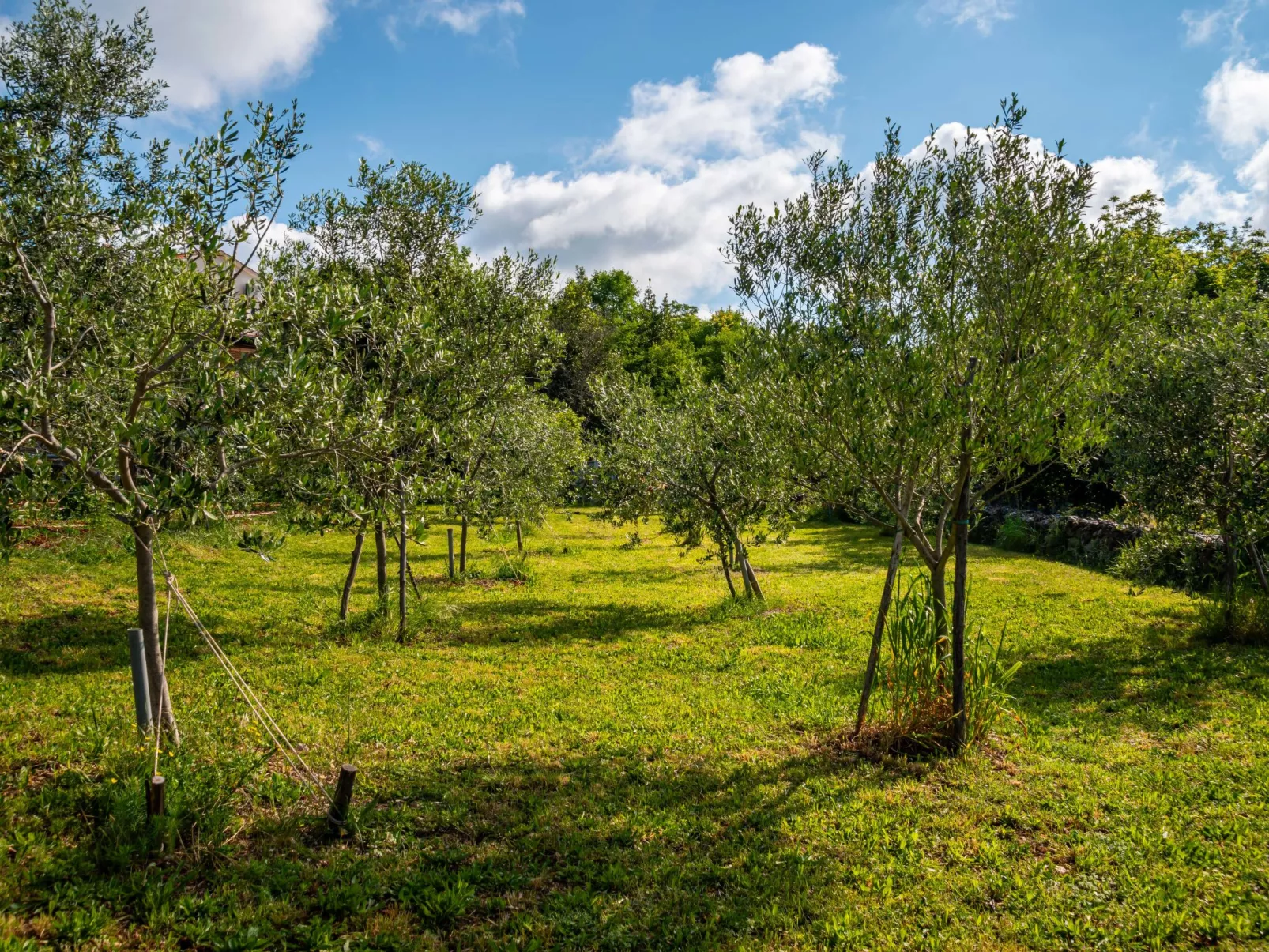 Little Tuscany-Buiten