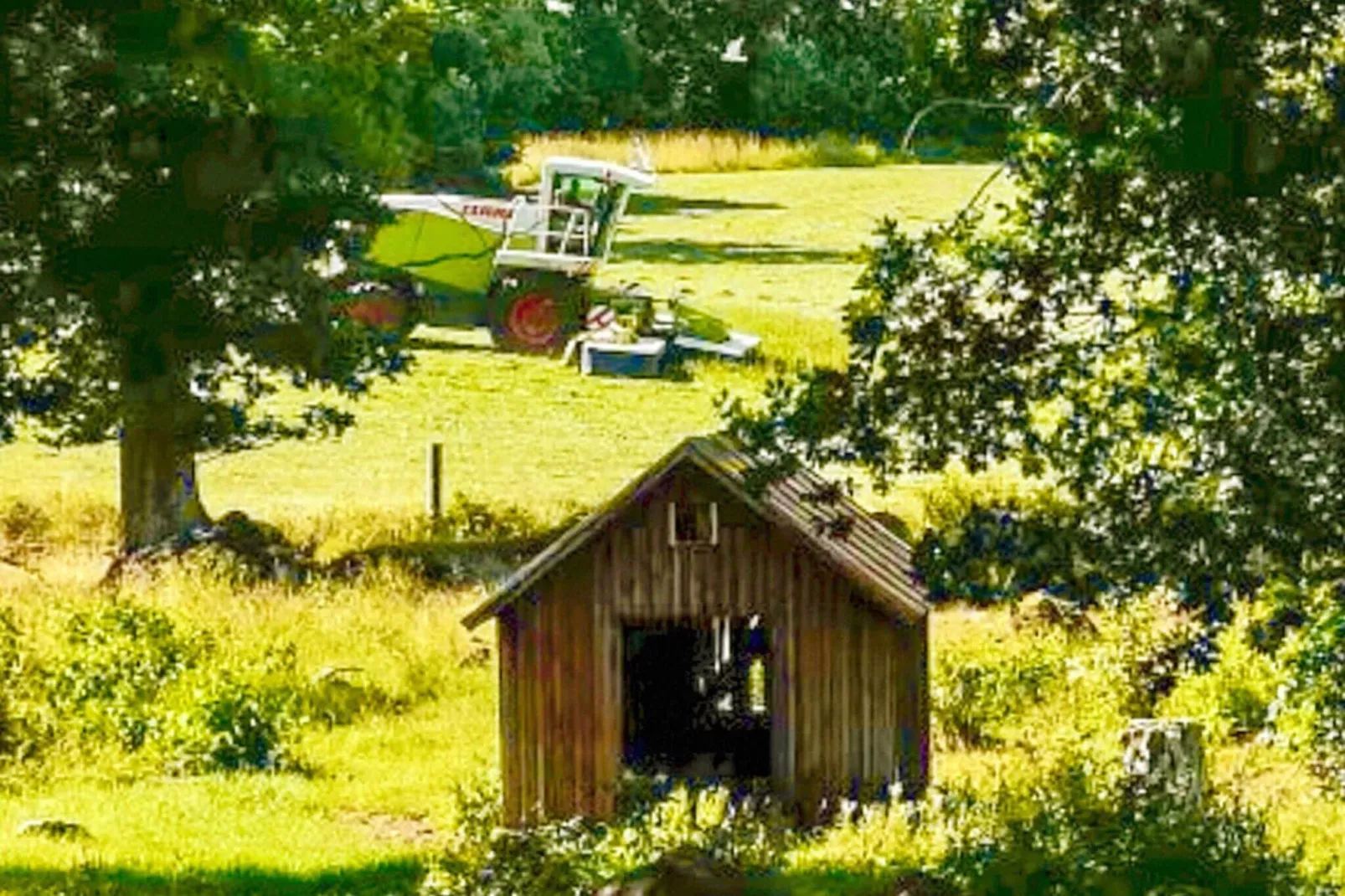 8 persoons vakantie huis in HÖGSBY-Buitenlucht