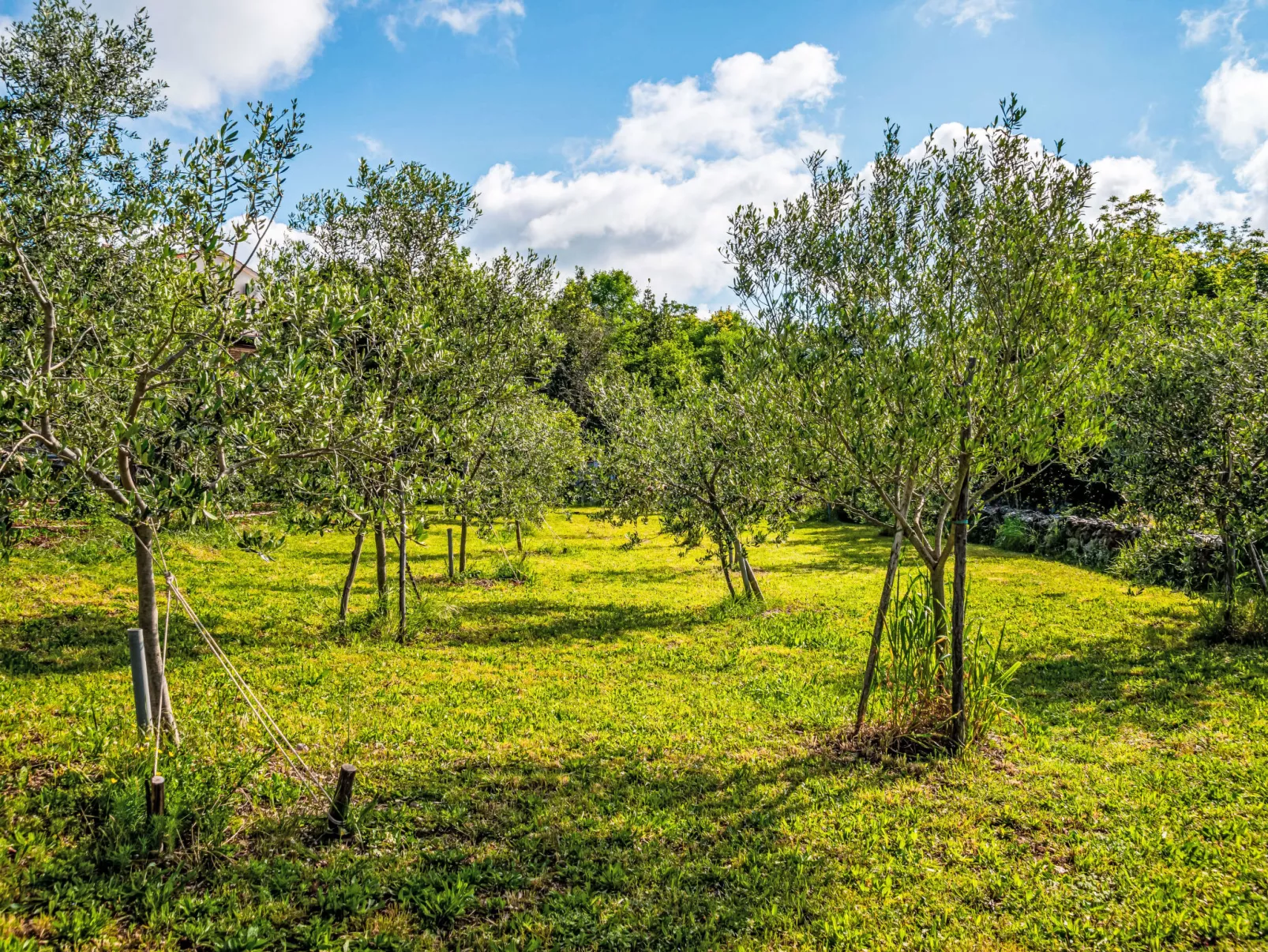 Little Tuscany for Two-Buiten