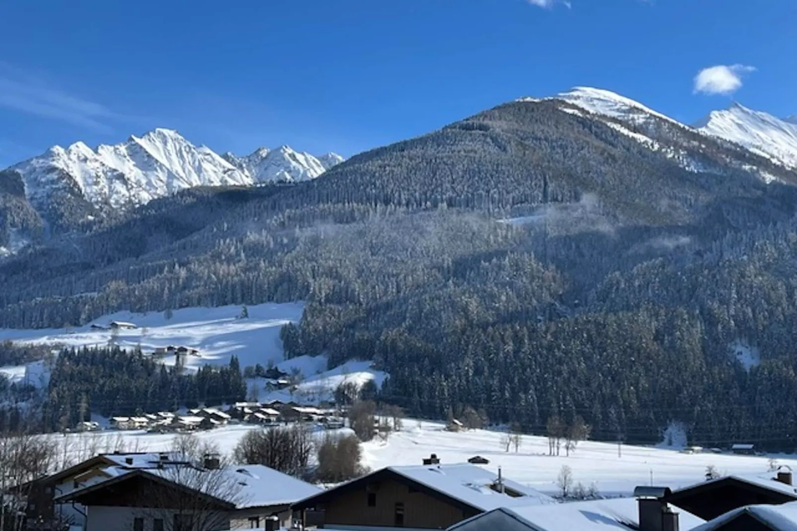 Apartmenthaus Nußbaumer-Uitzicht winter