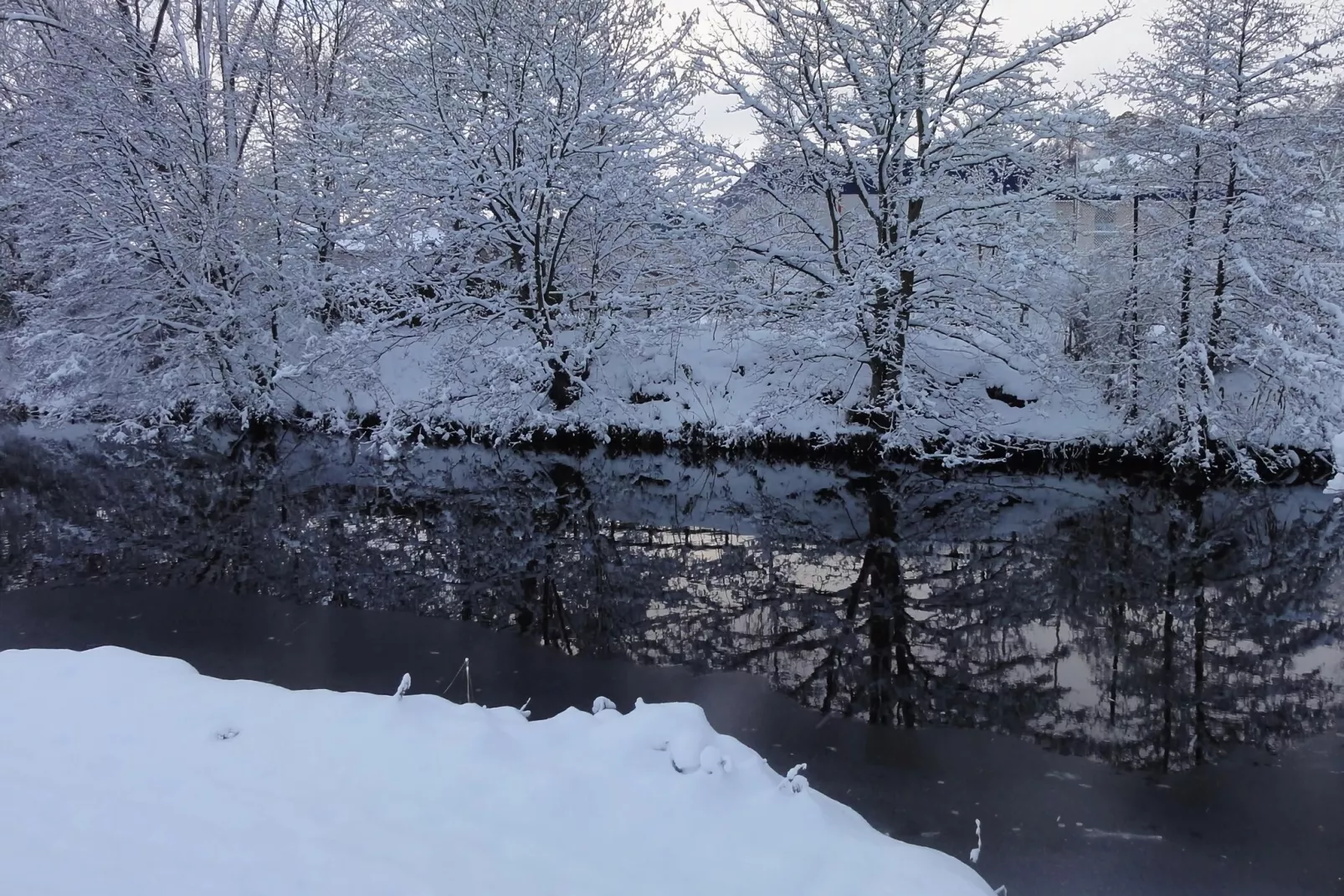 Cheviot-Gebied winter 5km