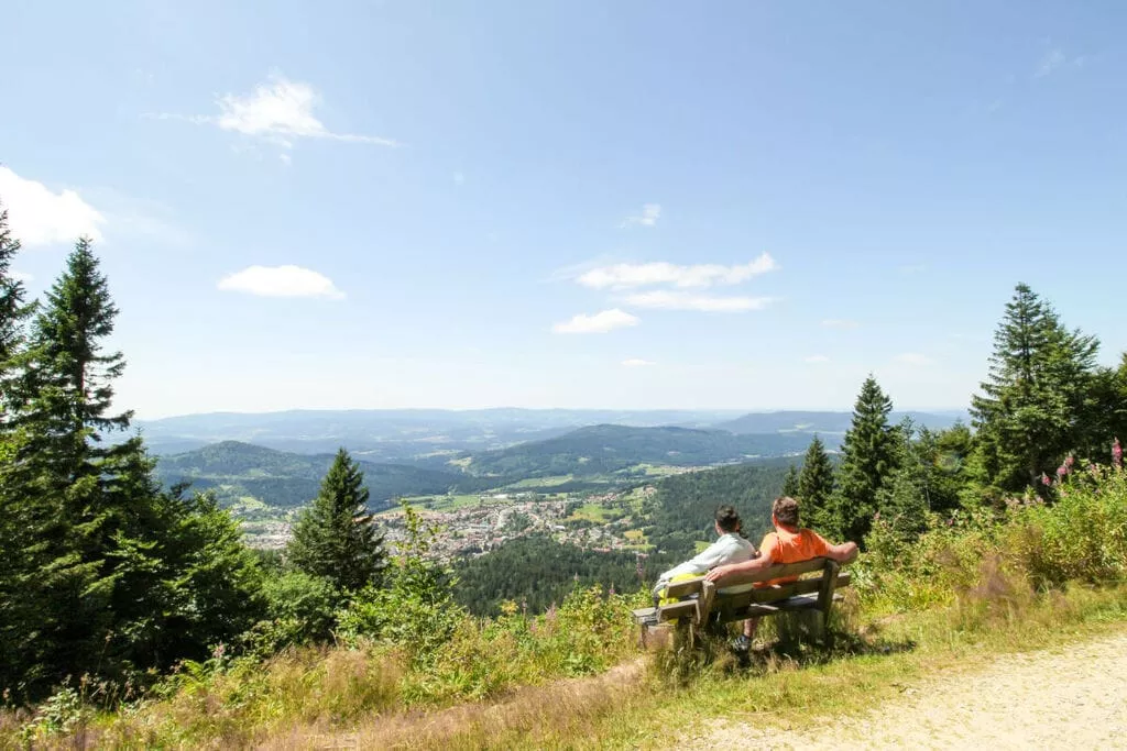 384667-Gebieden zomer 5km