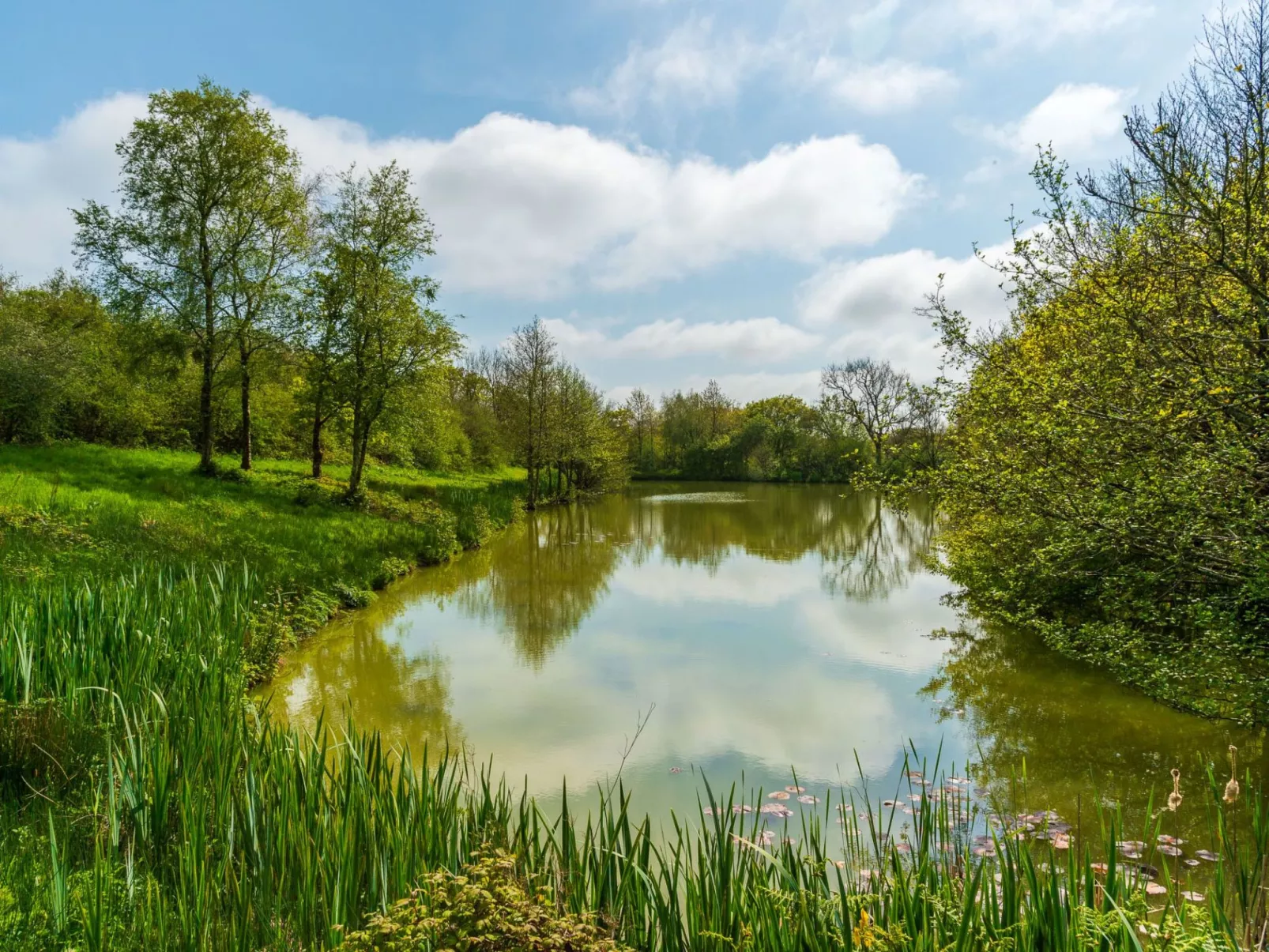 Oak Hot Tub Lodge-Buiten