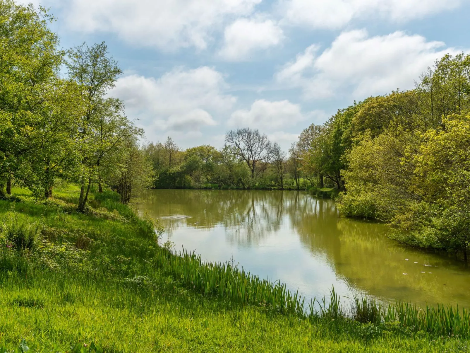 Oak Hot Tub Lodge-Buiten