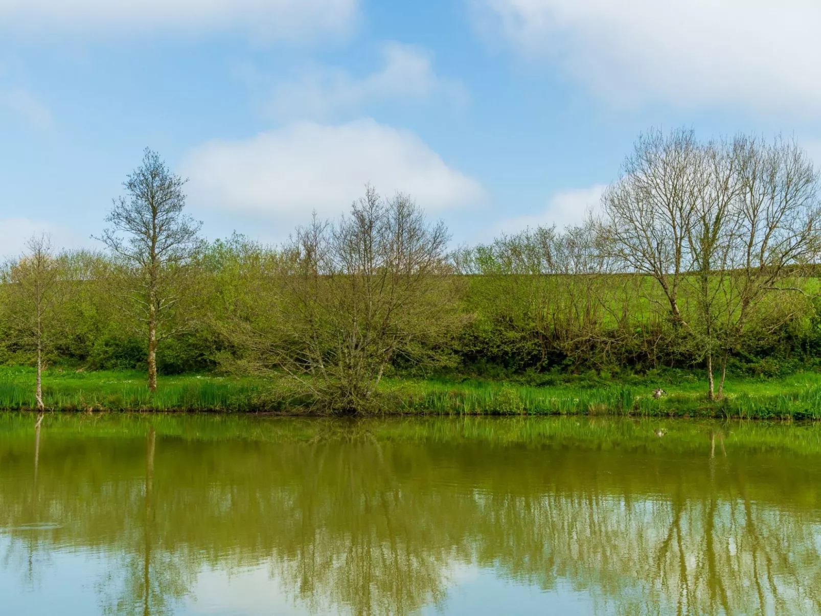 Oak Hot Tub Lodge-Buiten