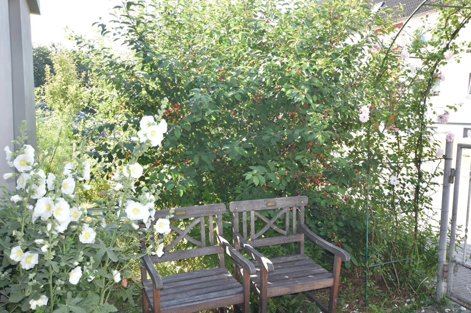 Nähe Insel Poel-Terrasbalkon