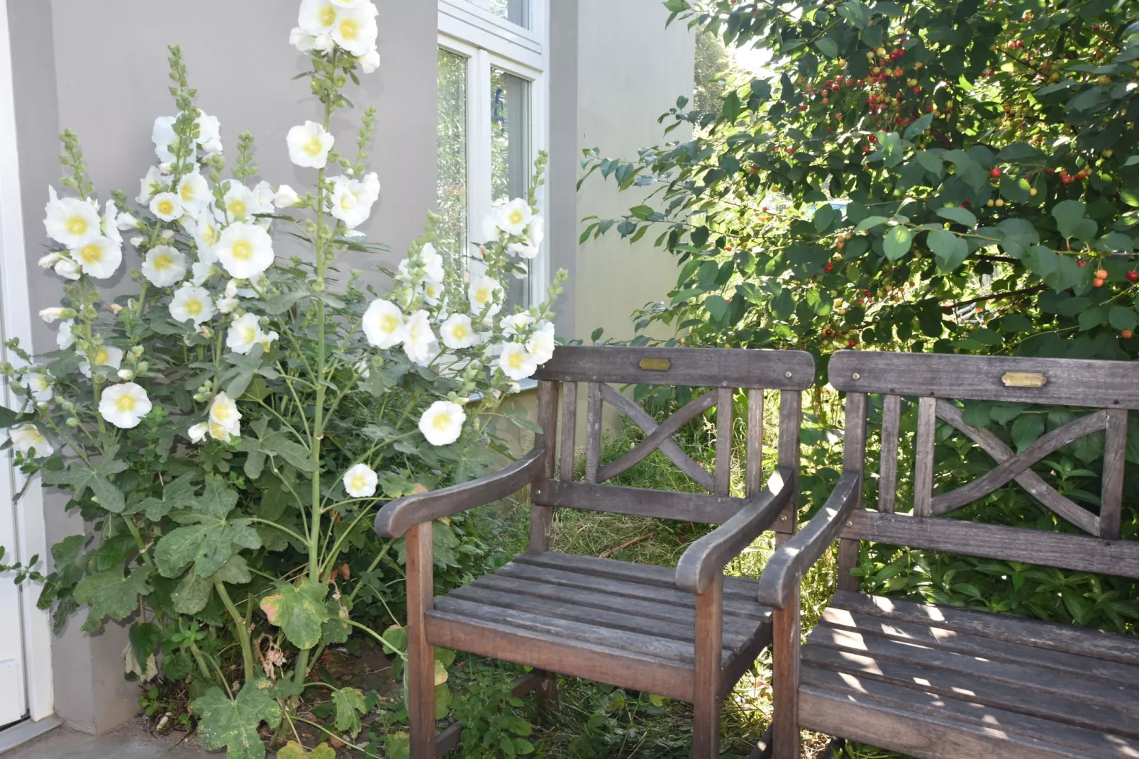 terracebalcony