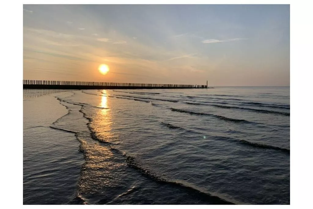 256517-Gebieden zomer 5km