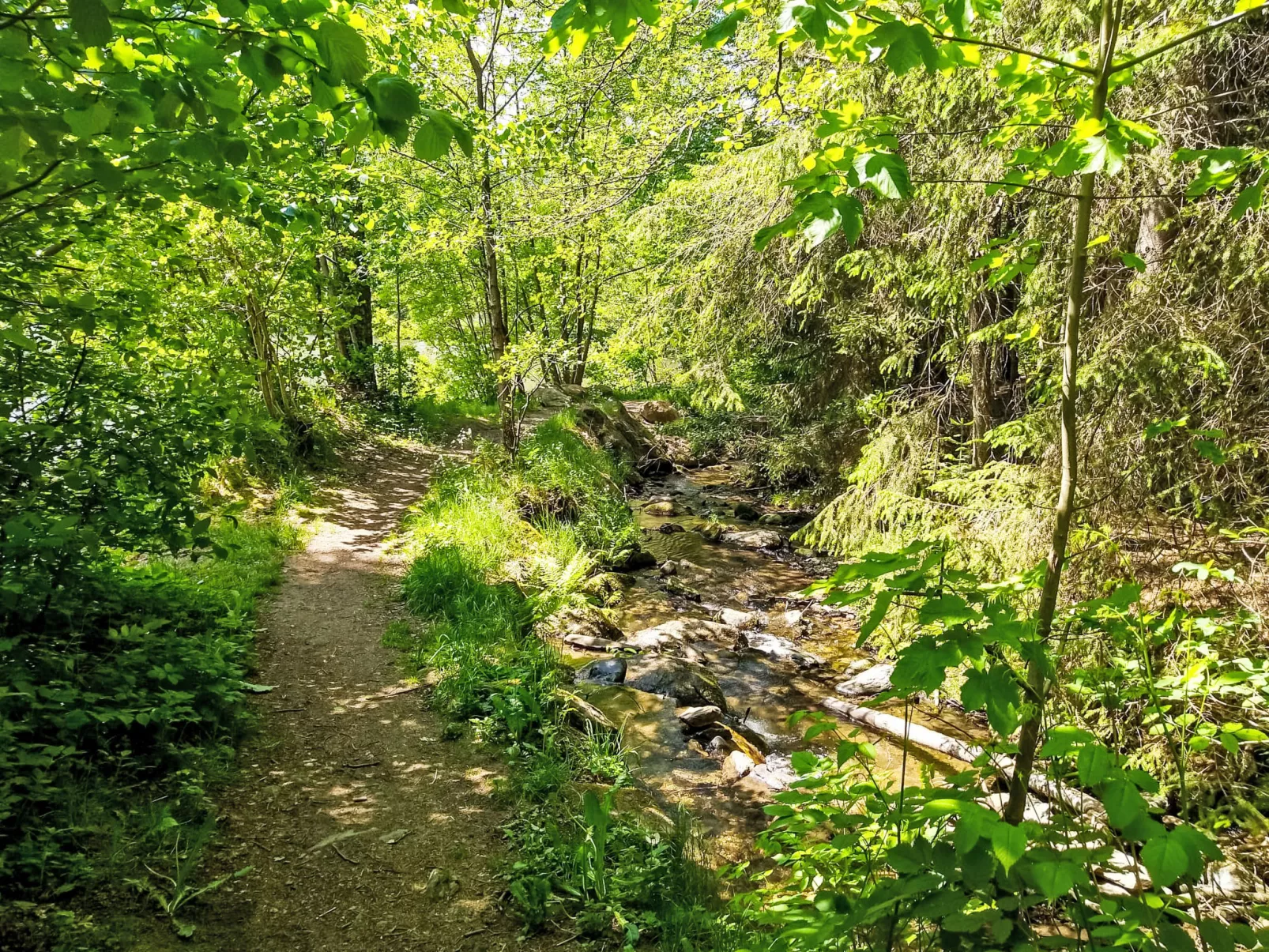 Am Hohen Bogen-Buiten