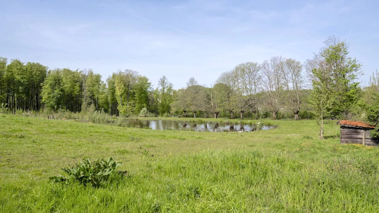 Landhuis Brakelbos-Tuinen zomer