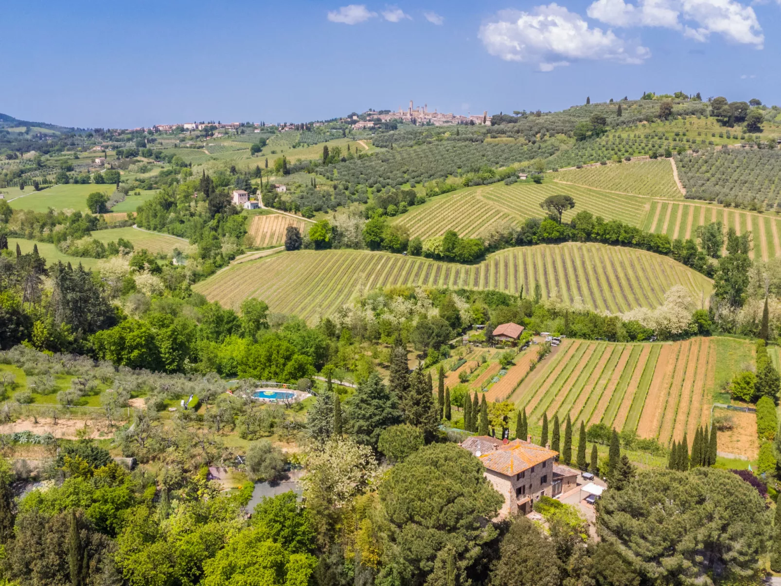 Il Sangiovese-Buiten