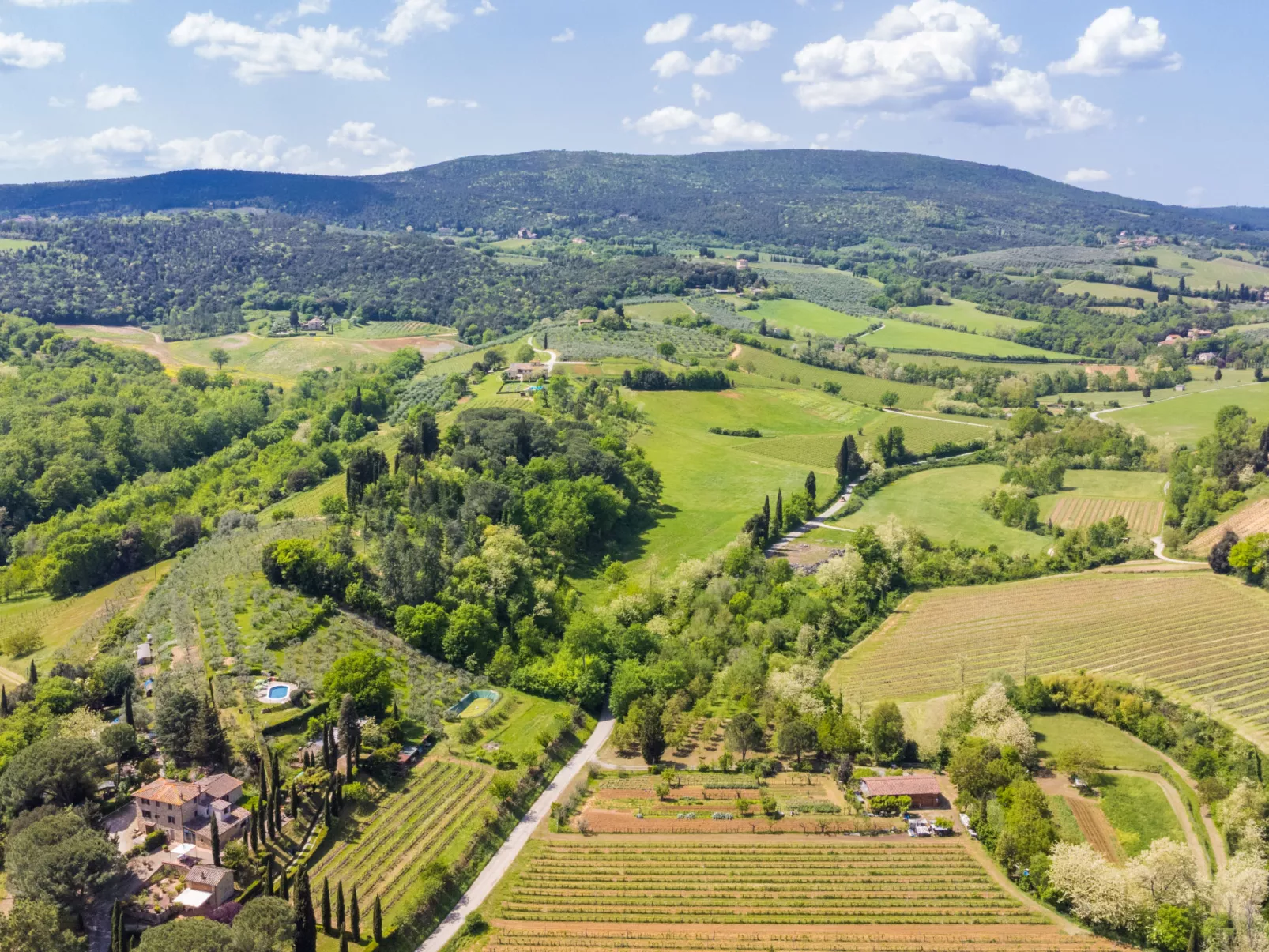 Il Sangiovese-Buiten