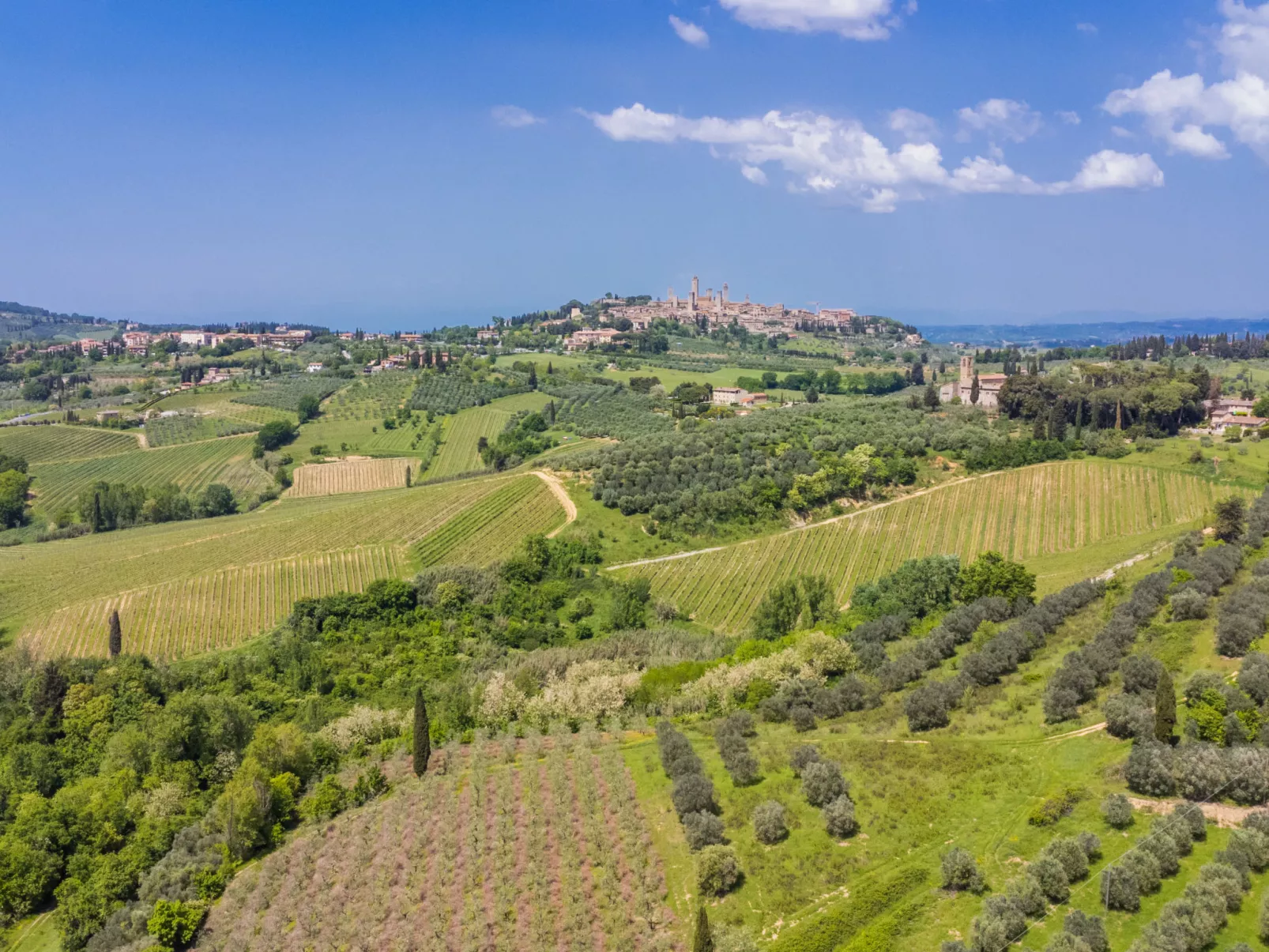 Il Sangiovese-Buiten