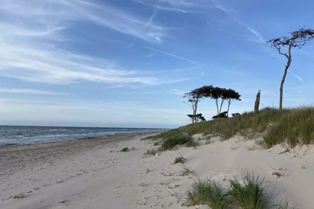 37877-Gebieden zomer 5km