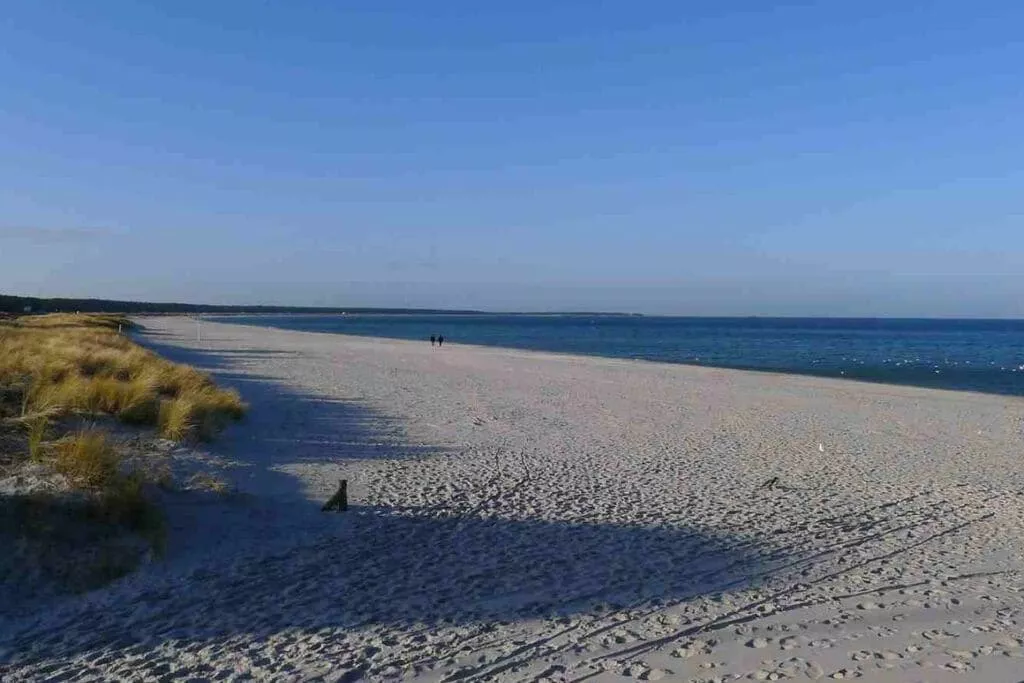 37877-Gebieden zomer 5km