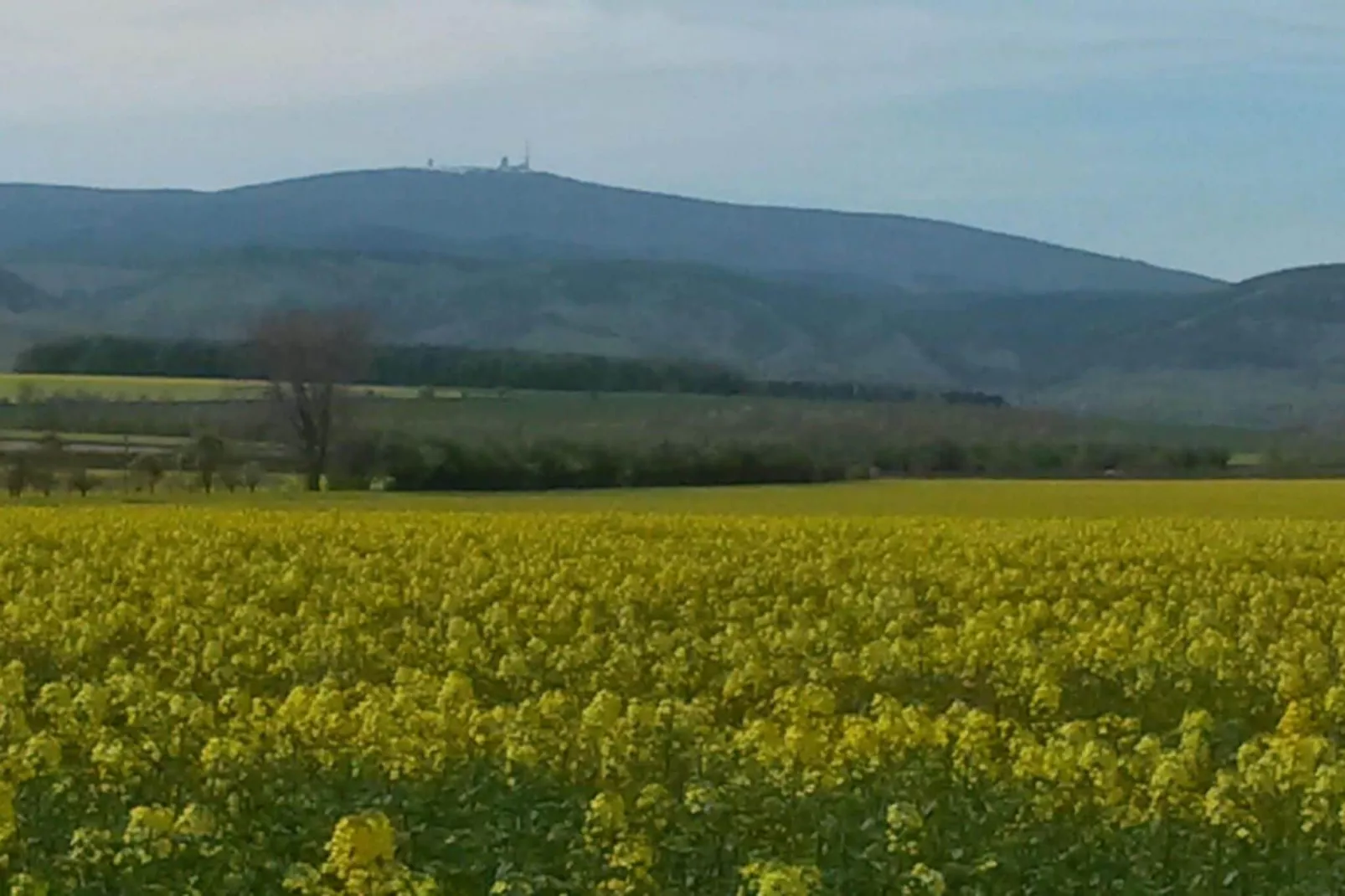 Meineckes Harzidyll Am Eichenberg-Gebieden zomer 1km