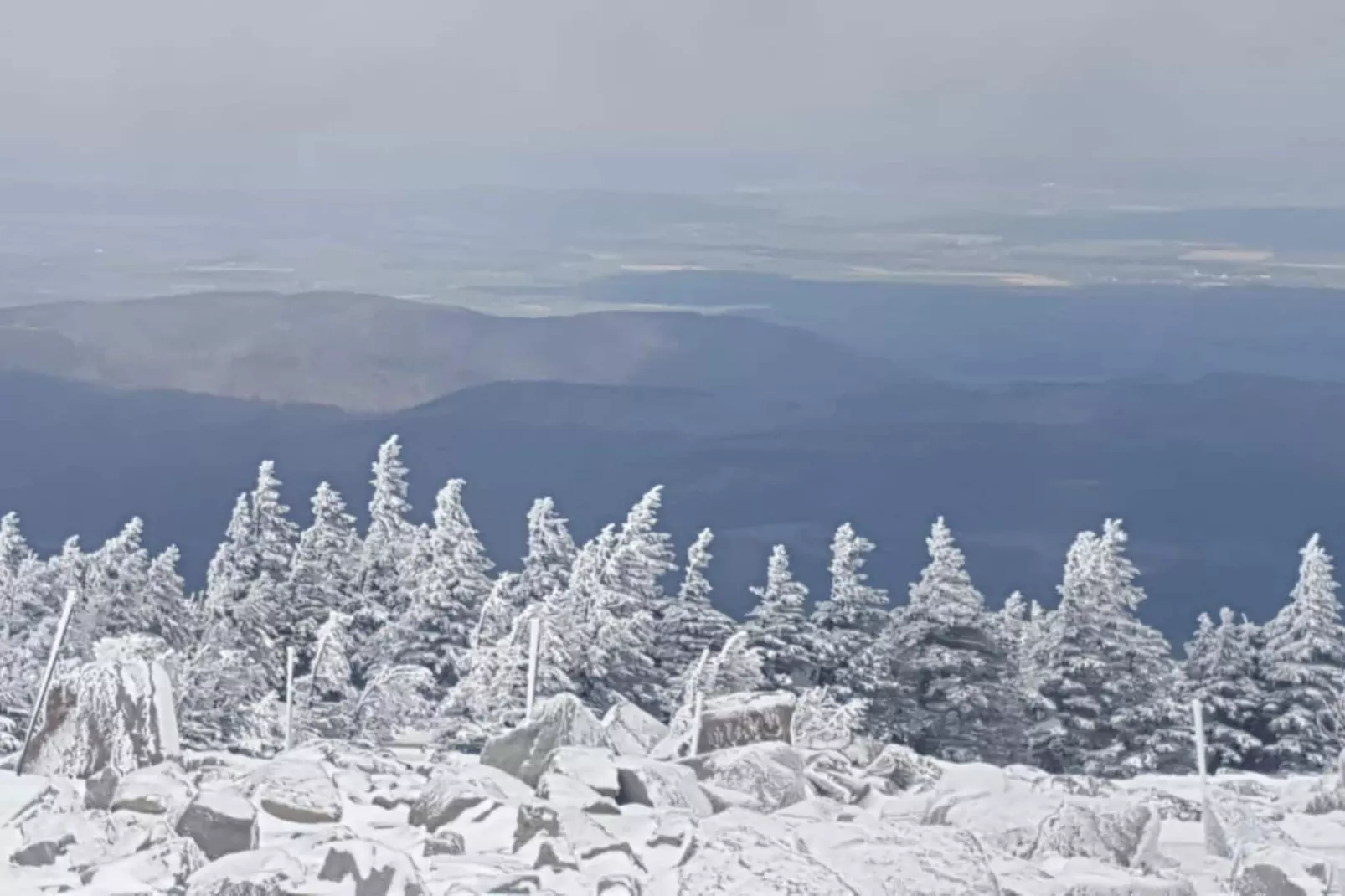 Meineckes Harzidyll Am Eichenberg-Gebied winter 5km