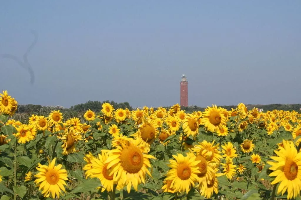 261097-Gebieden zomer 5km