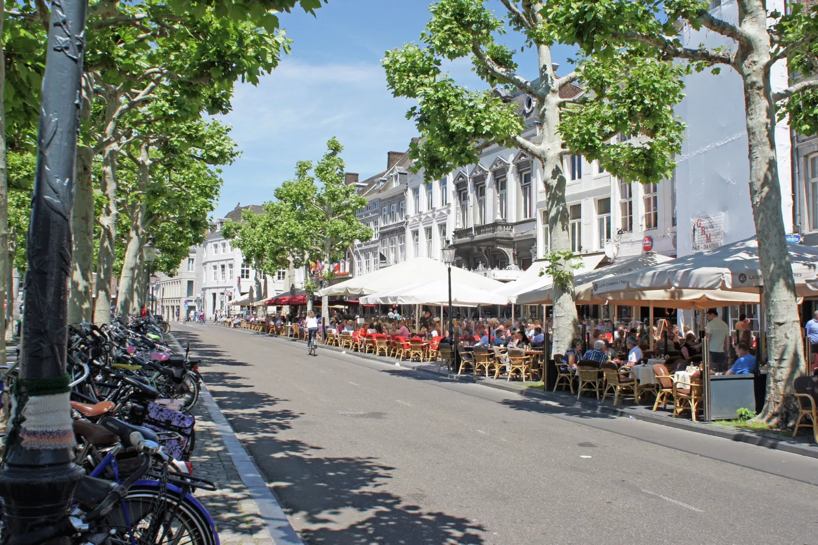 Resort Maastricht 4-Gebieden zomer 5km