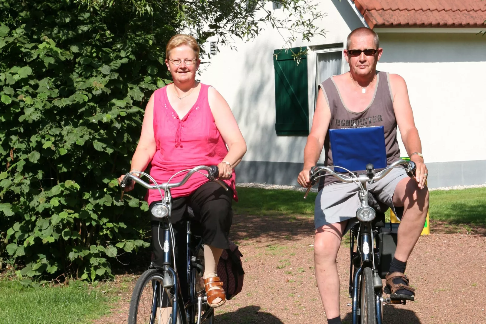 Het Drentse Wold 1-Gebieden zomer 1km