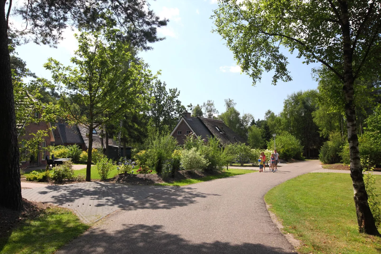 Landgoed Het Grote Zand 18-Gebieden zomer 1km