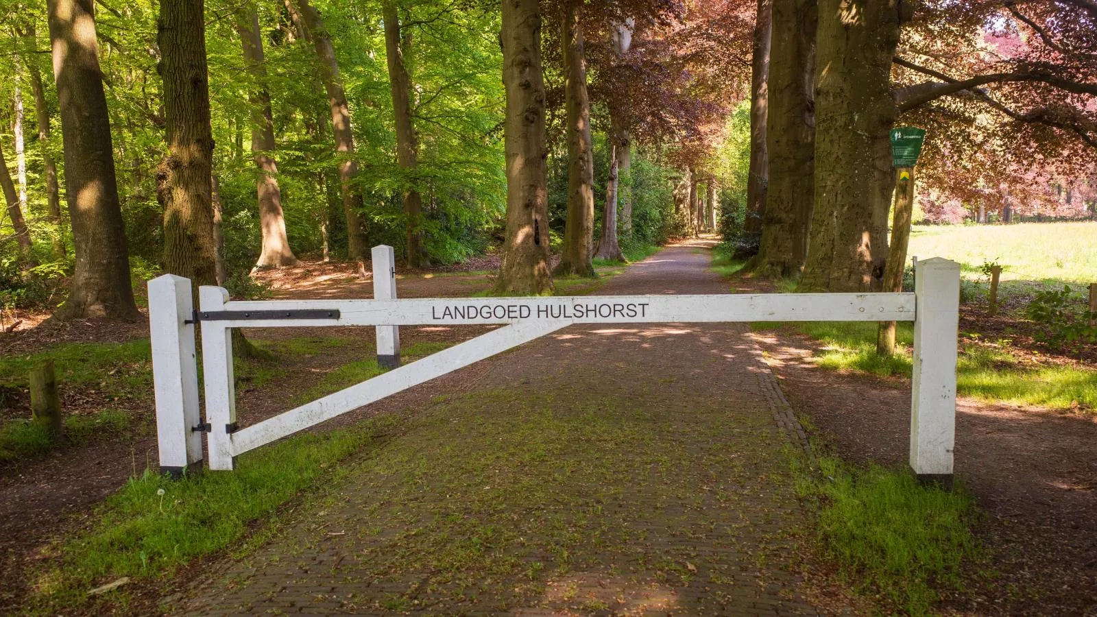 De Fazant-Gebieden zomer 1km