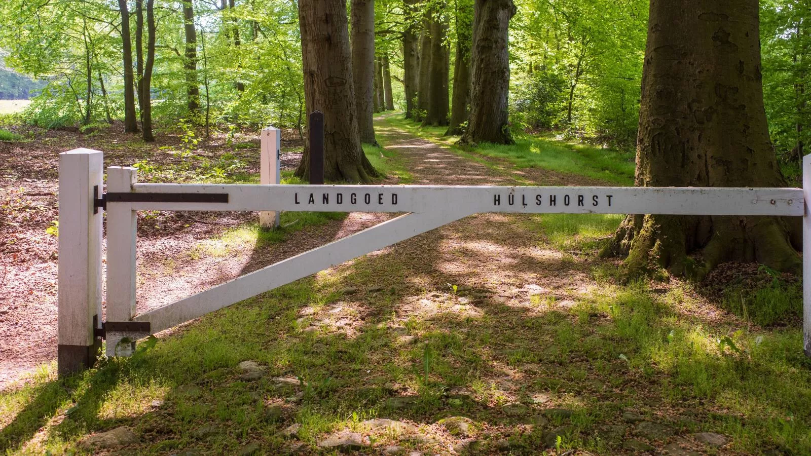 De Fazant-Gebieden zomer 1km