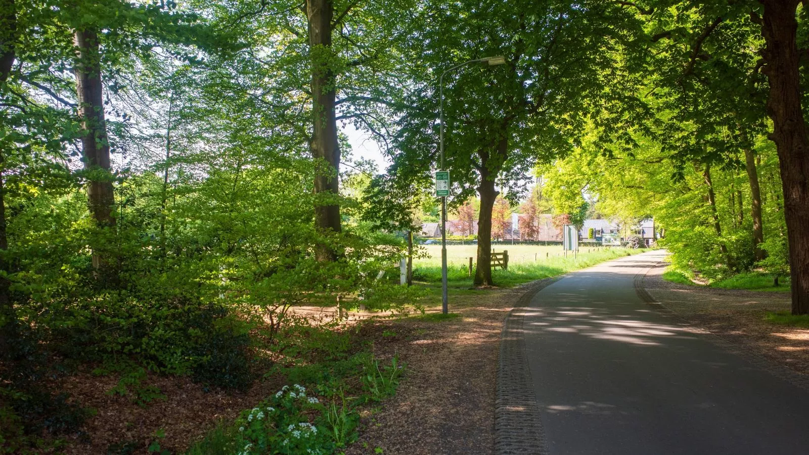 De Fazant-Gebieden zomer 1km