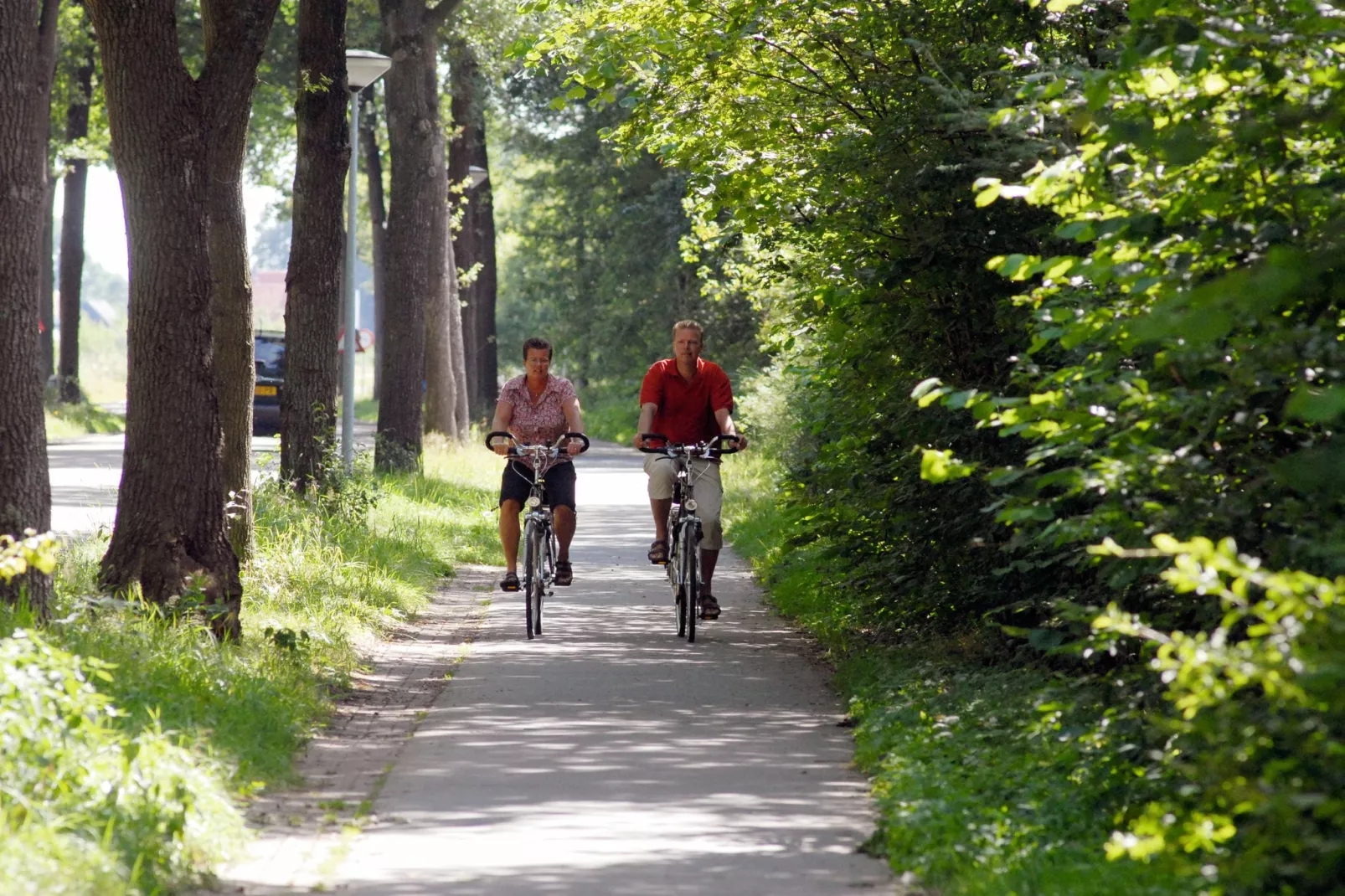 Het Drentse Wold 1-Gebieden zomer 5km