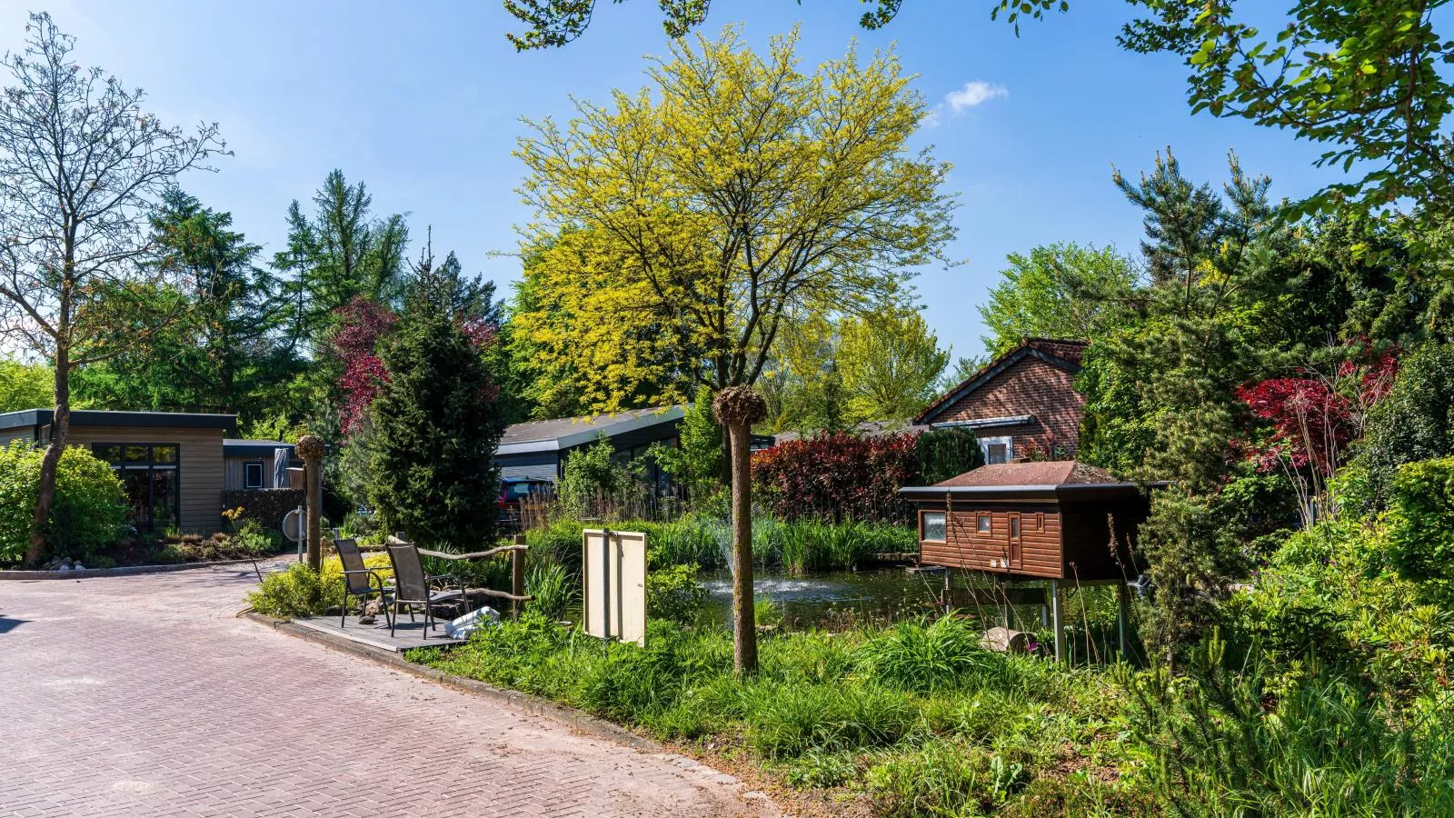 De Fazant-Gebieden zomer 1km