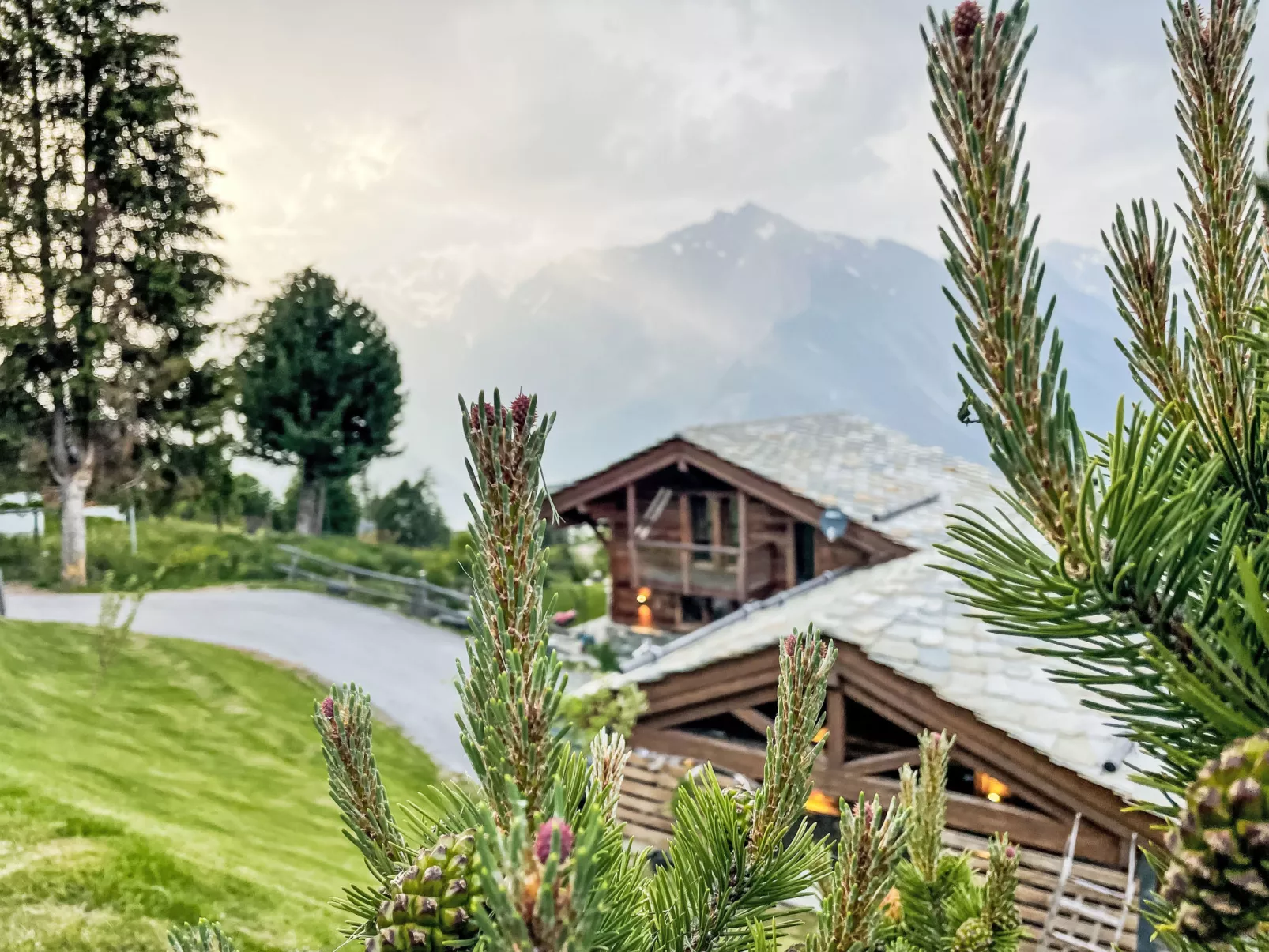 Chalet Gerritsen-Buiten