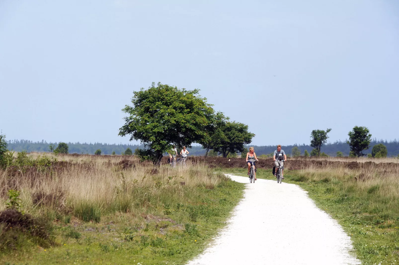 Het Drentse Wold 1-Gebieden zomer 5km