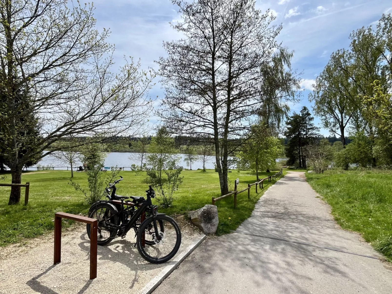 Zum munteren Eichhörnchen-Omgeving