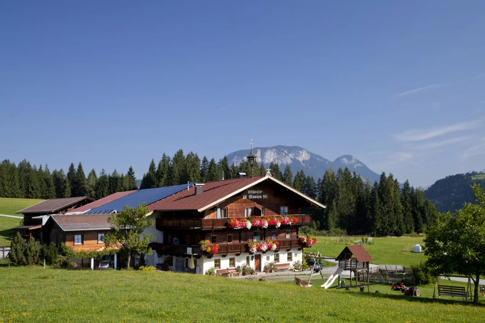 Alpenrose-Buitenkant zomer