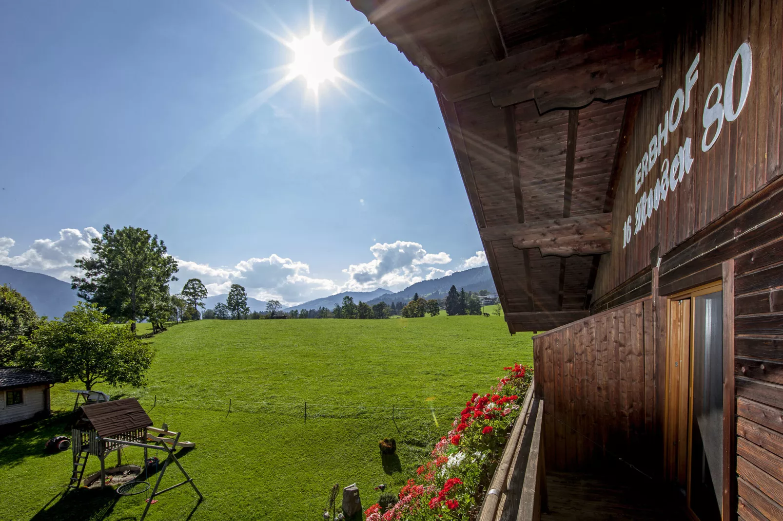 Alpenrose-Uitzicht zomer