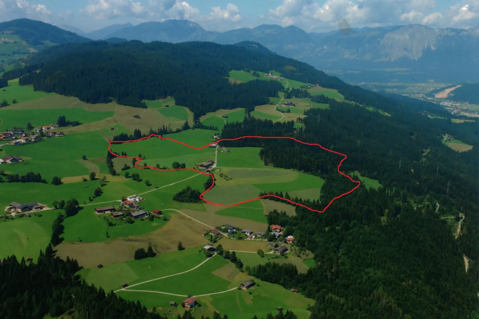 Alpenrose-Gebieden zomer 5km