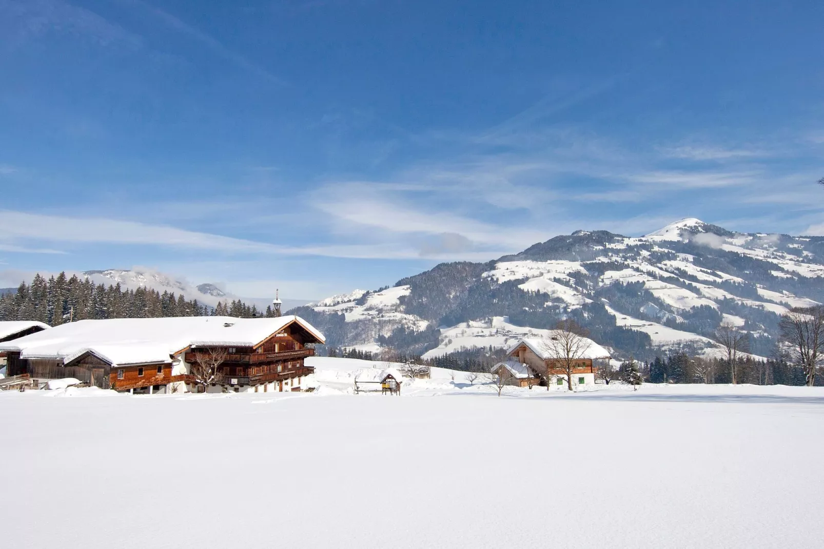 Alpenrose-Exterieur winter