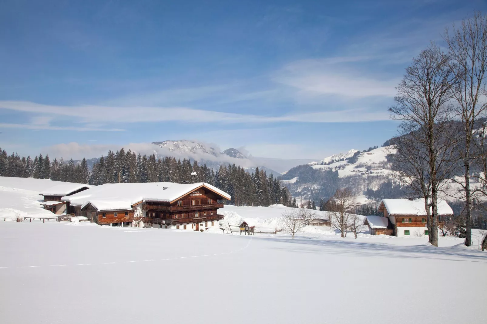 Alpenrose-Exterieur winter