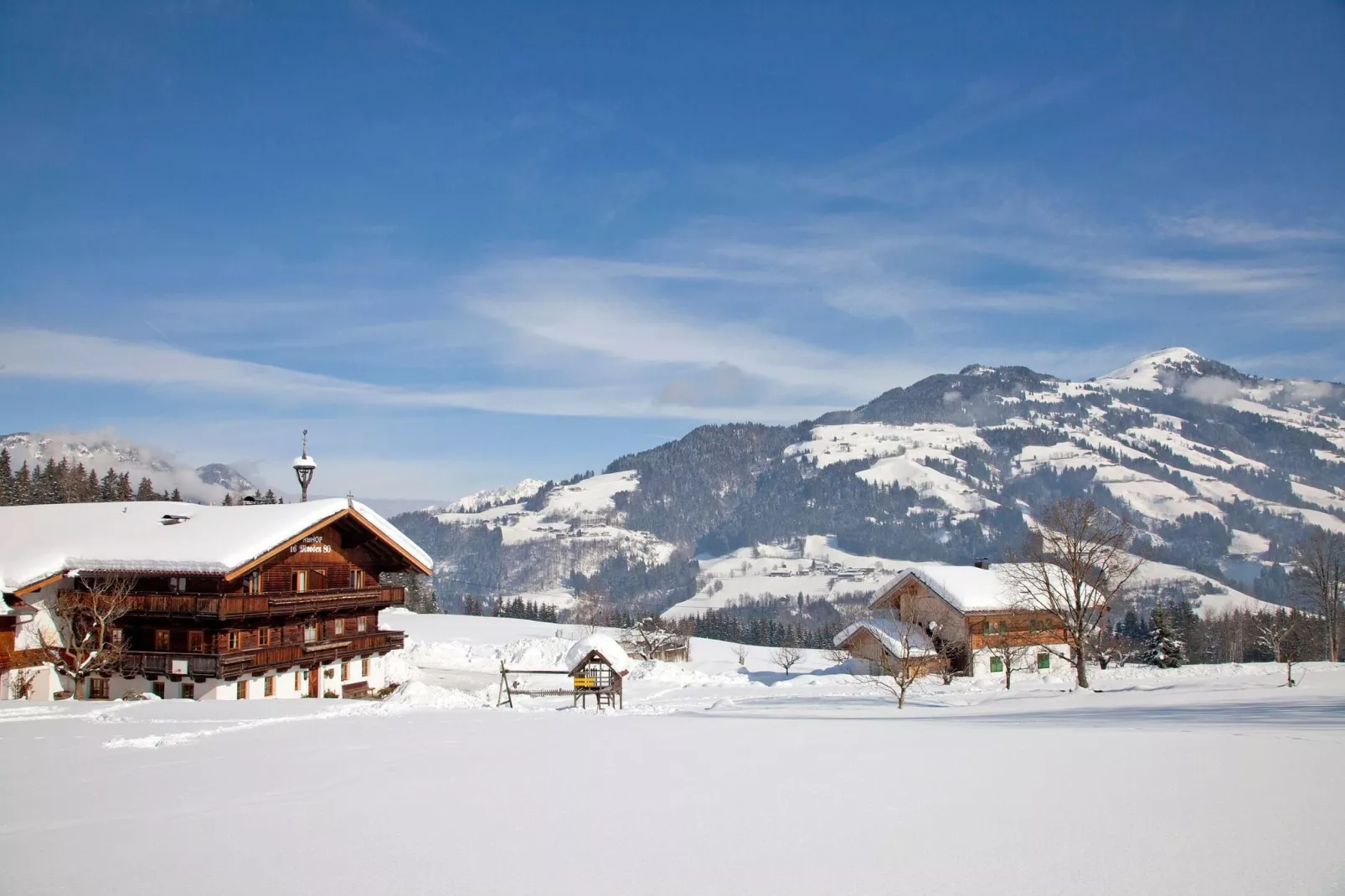 Alpenrose-Exterieur winter