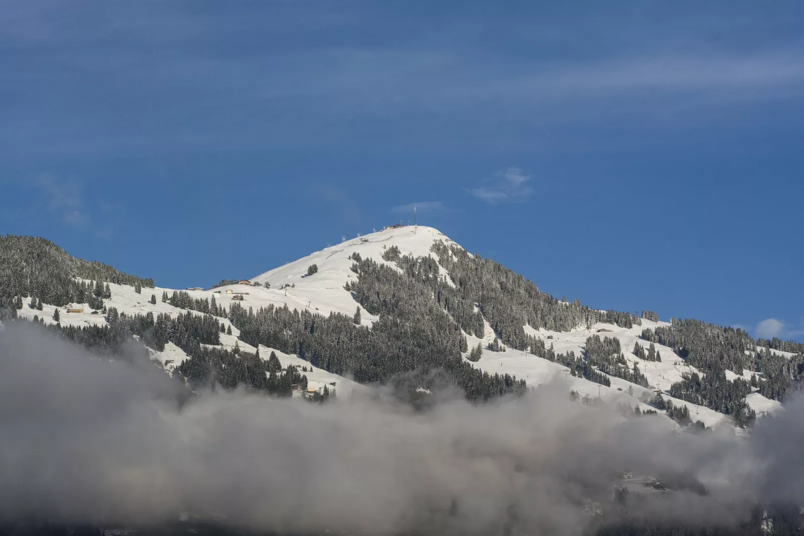 Alpenrose-Gebied winter 20km