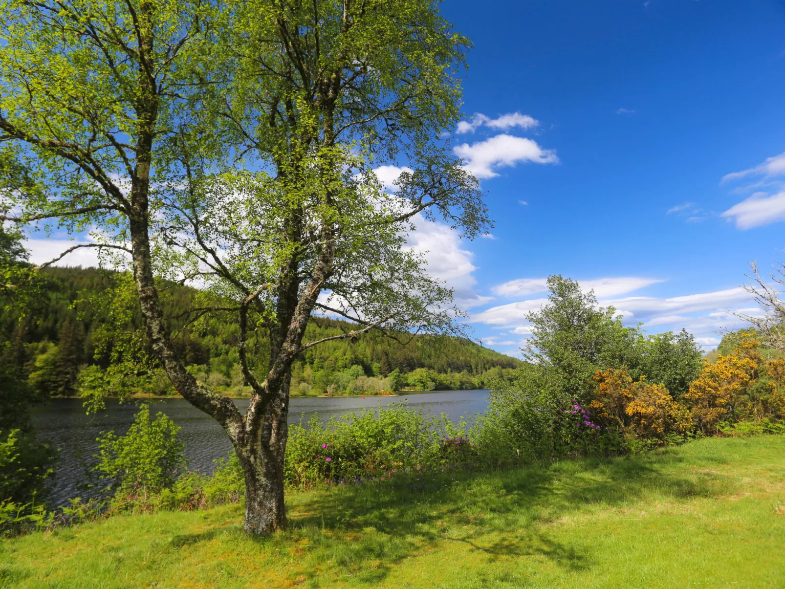 Ardlui Lodge-Buiten