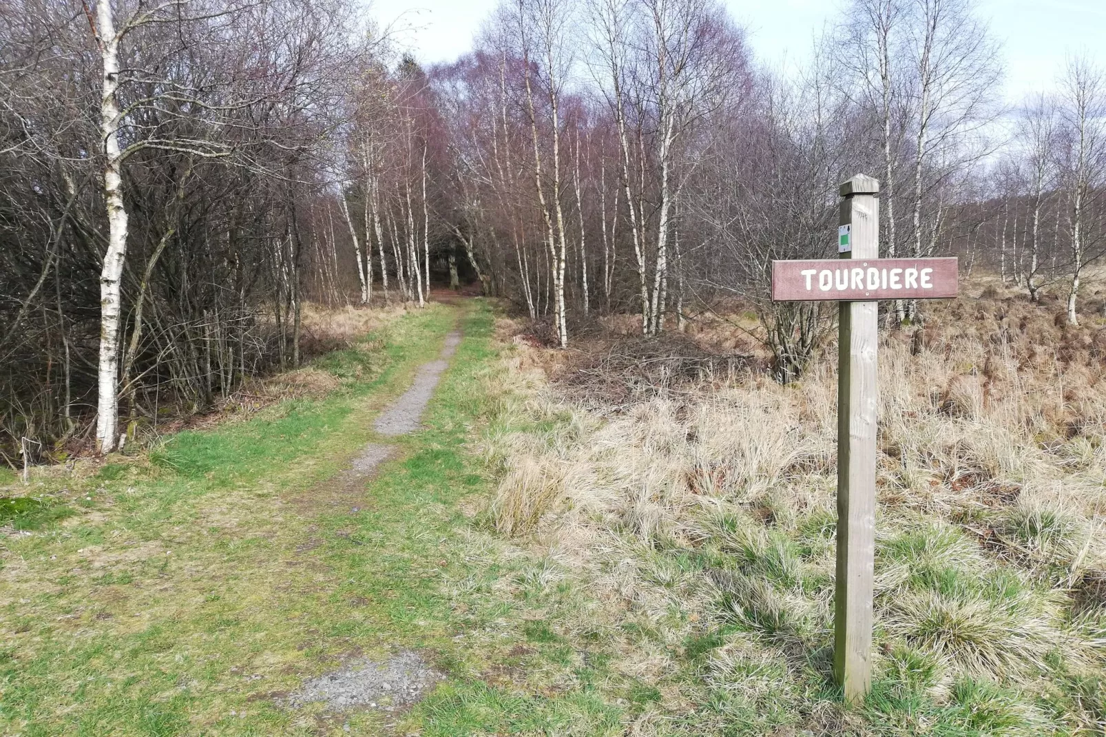 Le Coeur Des Fagnes-Gebieden zomer 5km