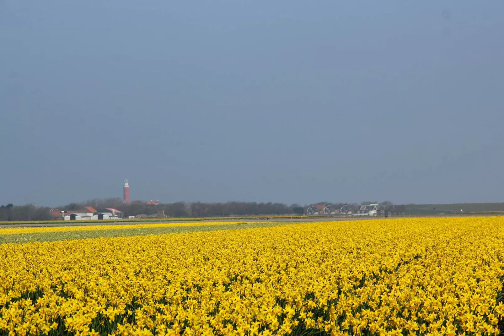 De Ransuil-Gebieden zomer 20km