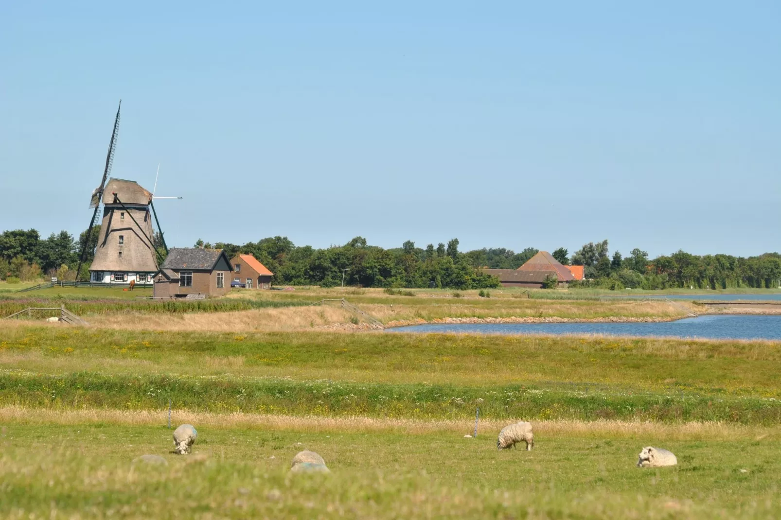 Florijn 1-Uitzicht zomer