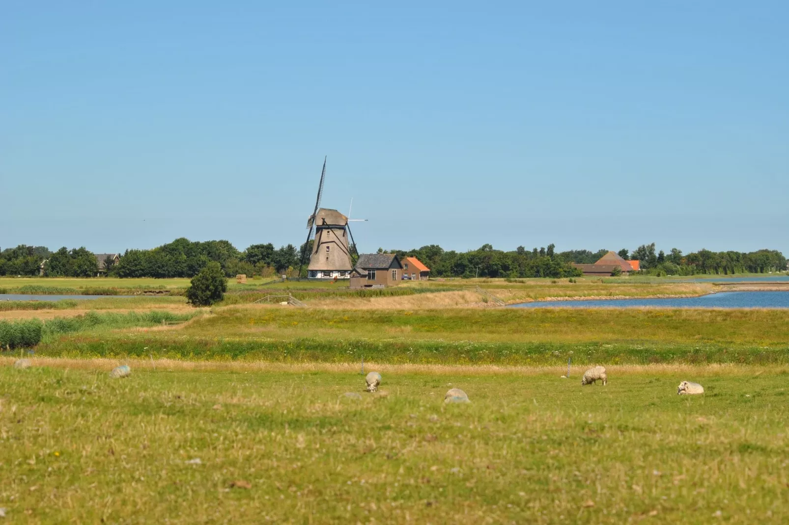 Florijn 1-Gebieden zomer 1km