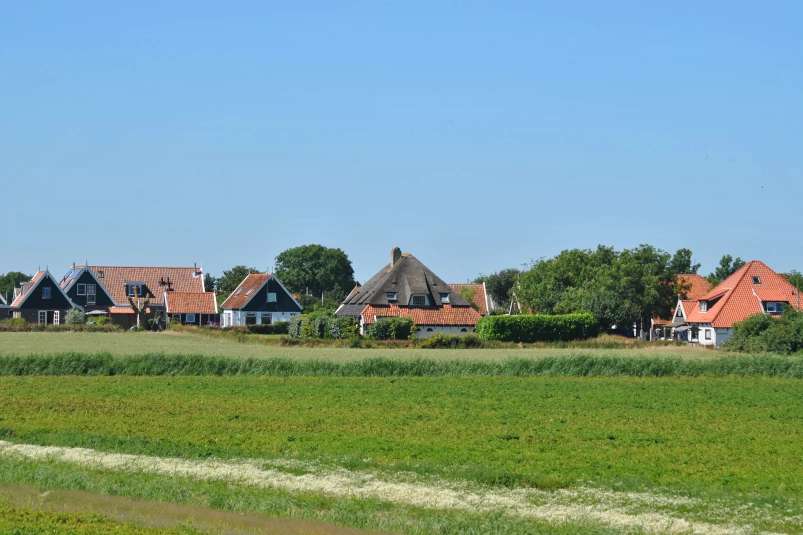 Florijn 1-Gebieden zomer 1km