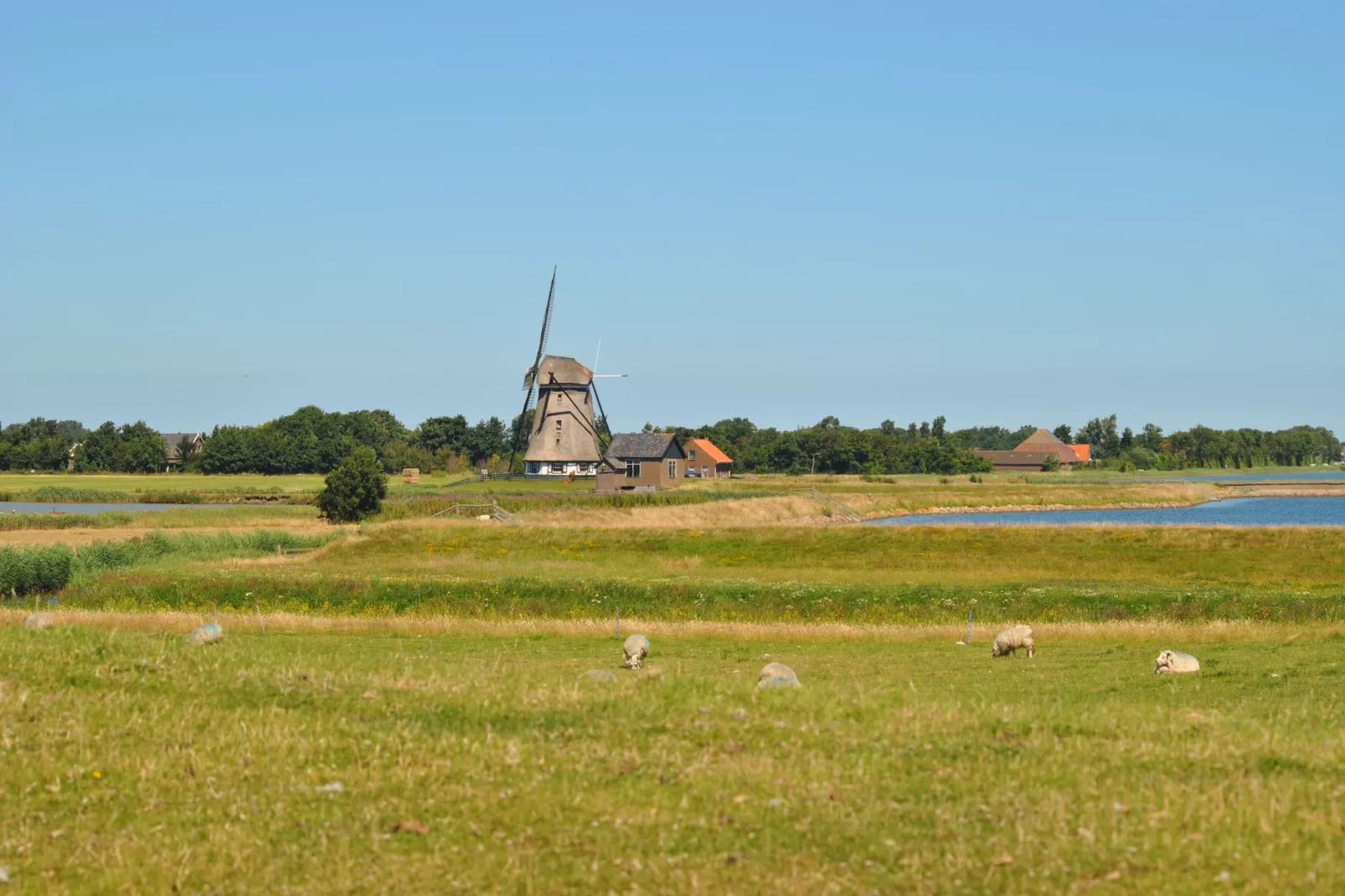 Florijn 4-Gebieden zomer 1km