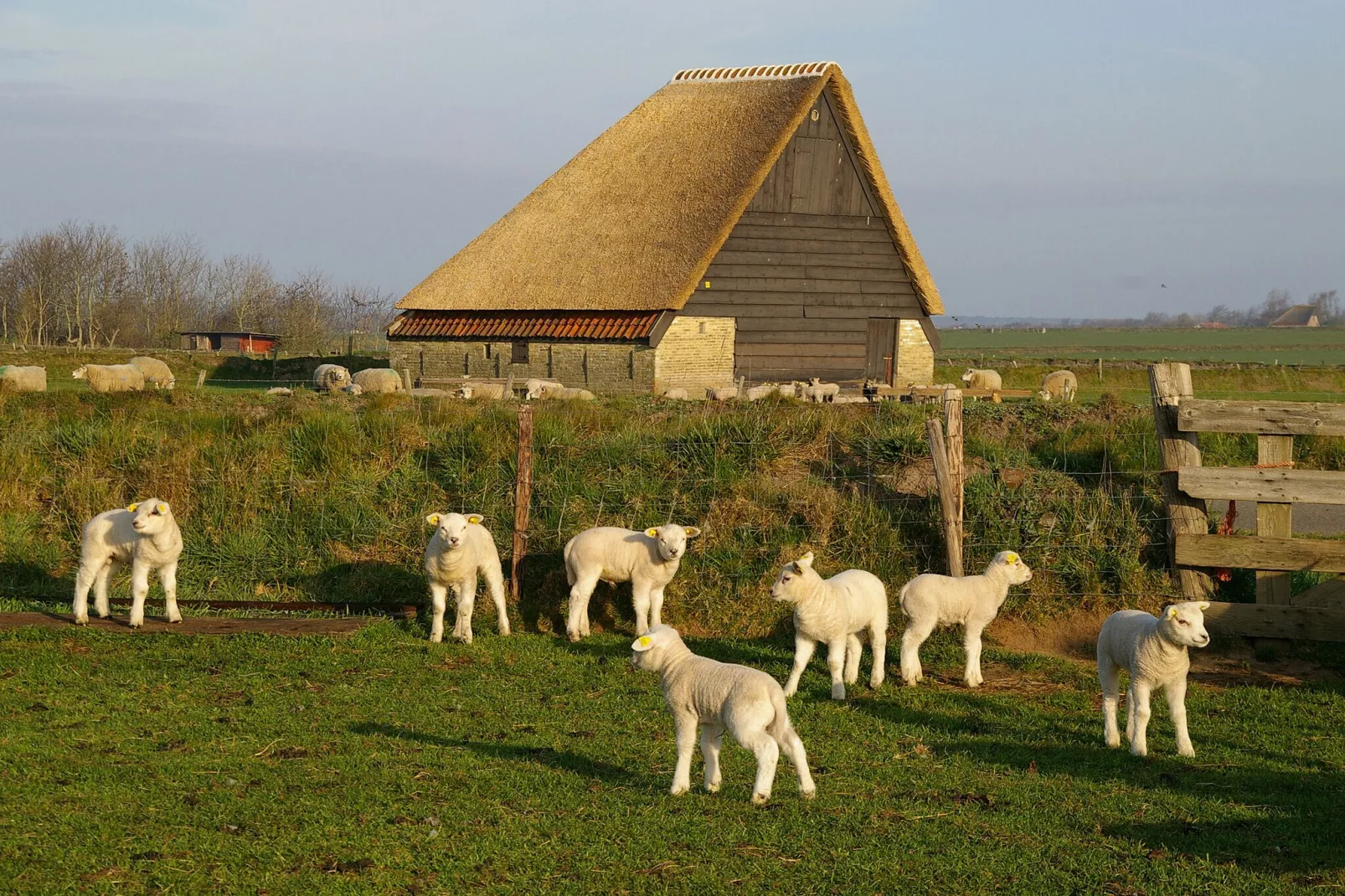 Bungalow Roggesloot A-8a-Gebieden zomer 20km